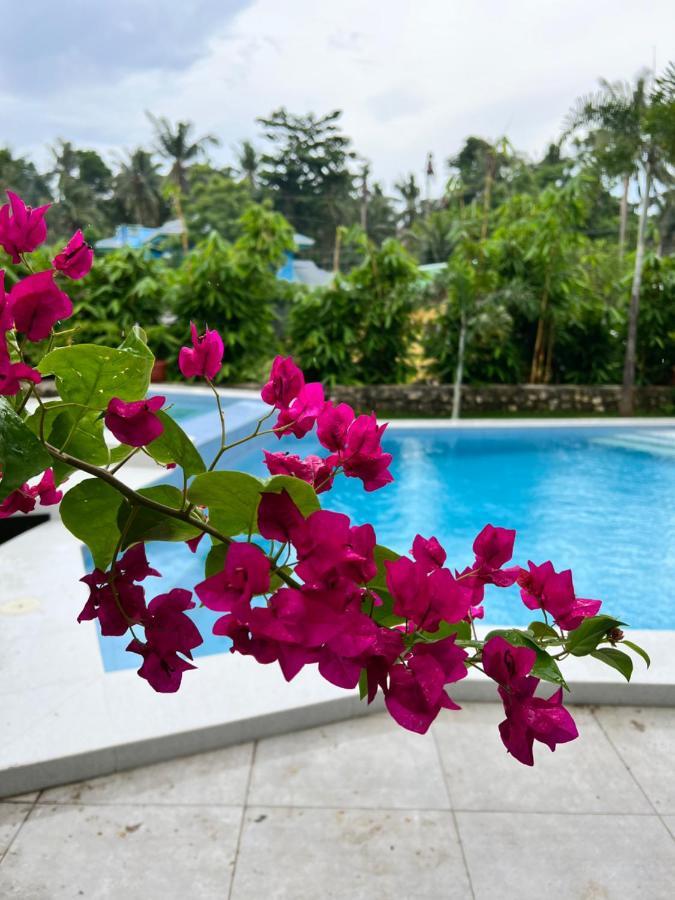 D Arc Leisure Home By The Sea Panglao Exterior foto